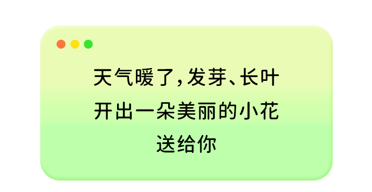 爱儿健送你一朵小花