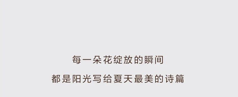 巴拉巴拉：把孩子穿成一朵花，绽放一夏！