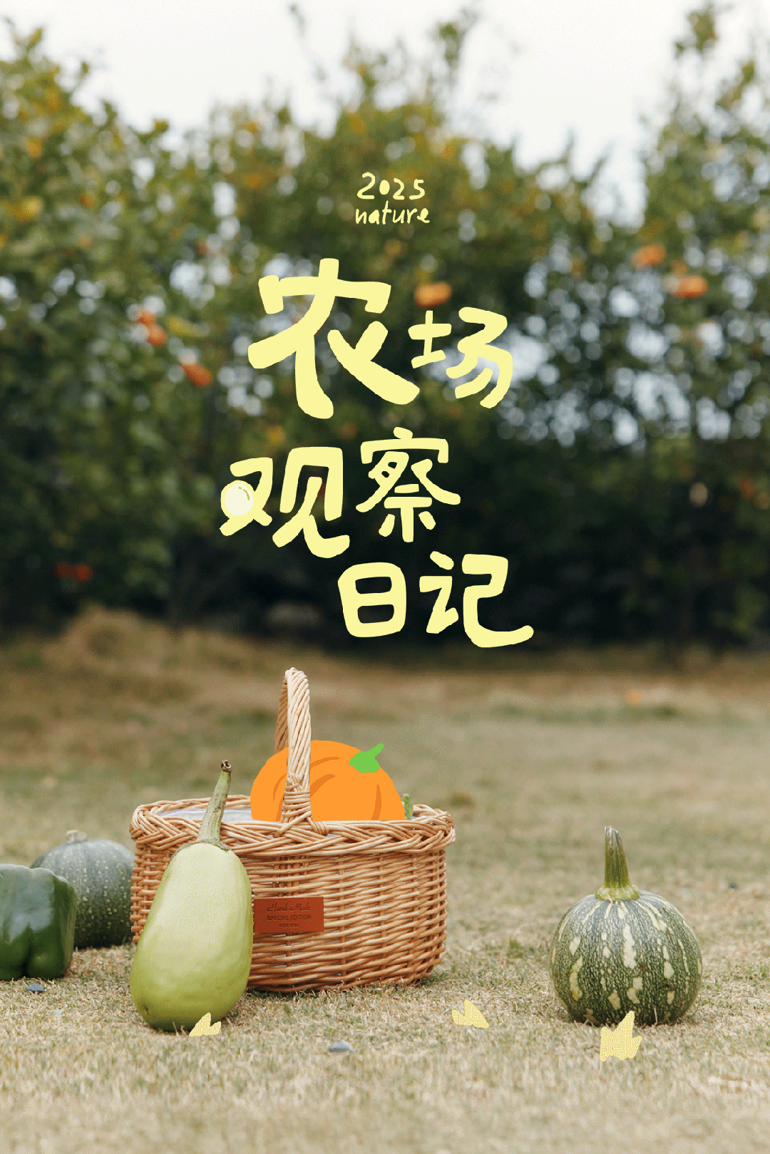 Mini Bala童装农场观察日记：当果蔬变成魔术师