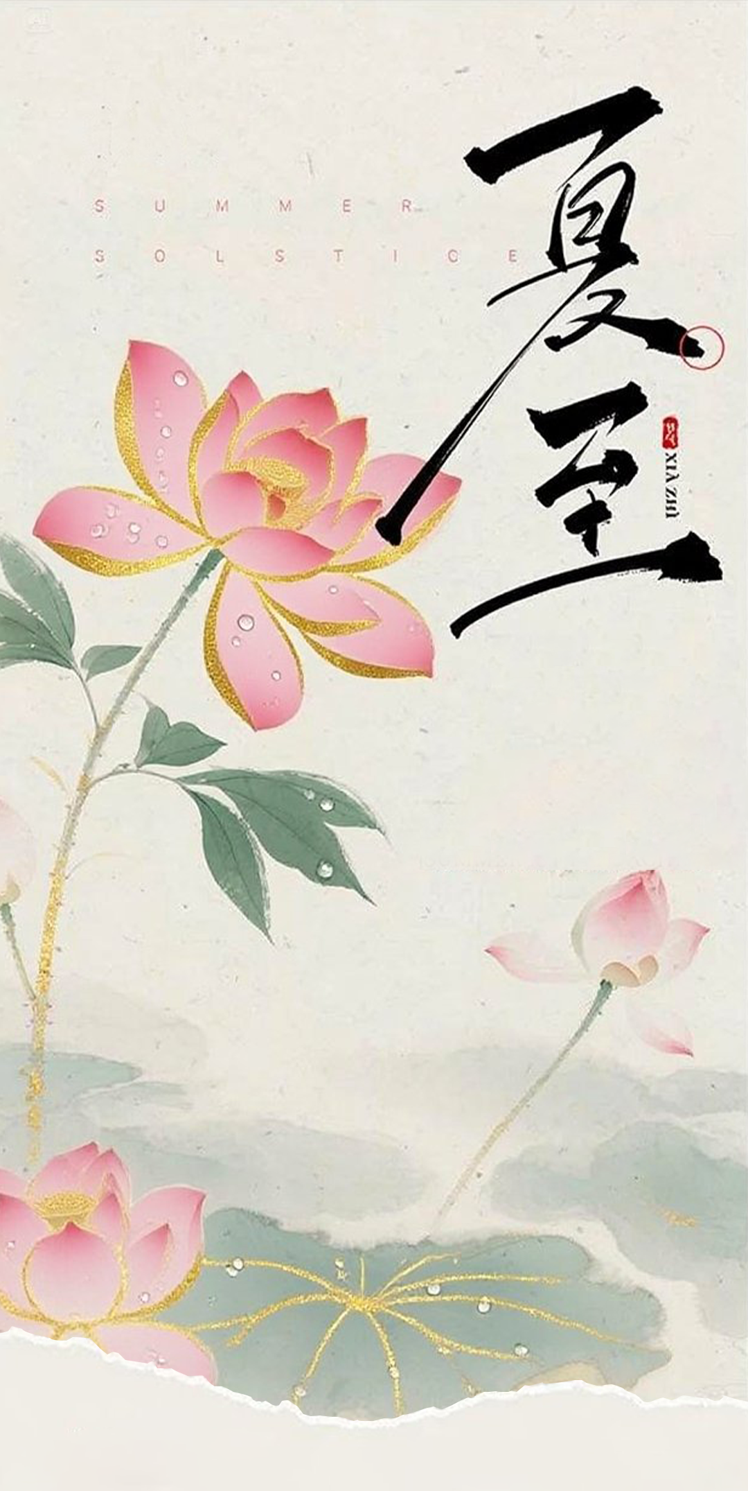 法纳贝儿：夏至人间