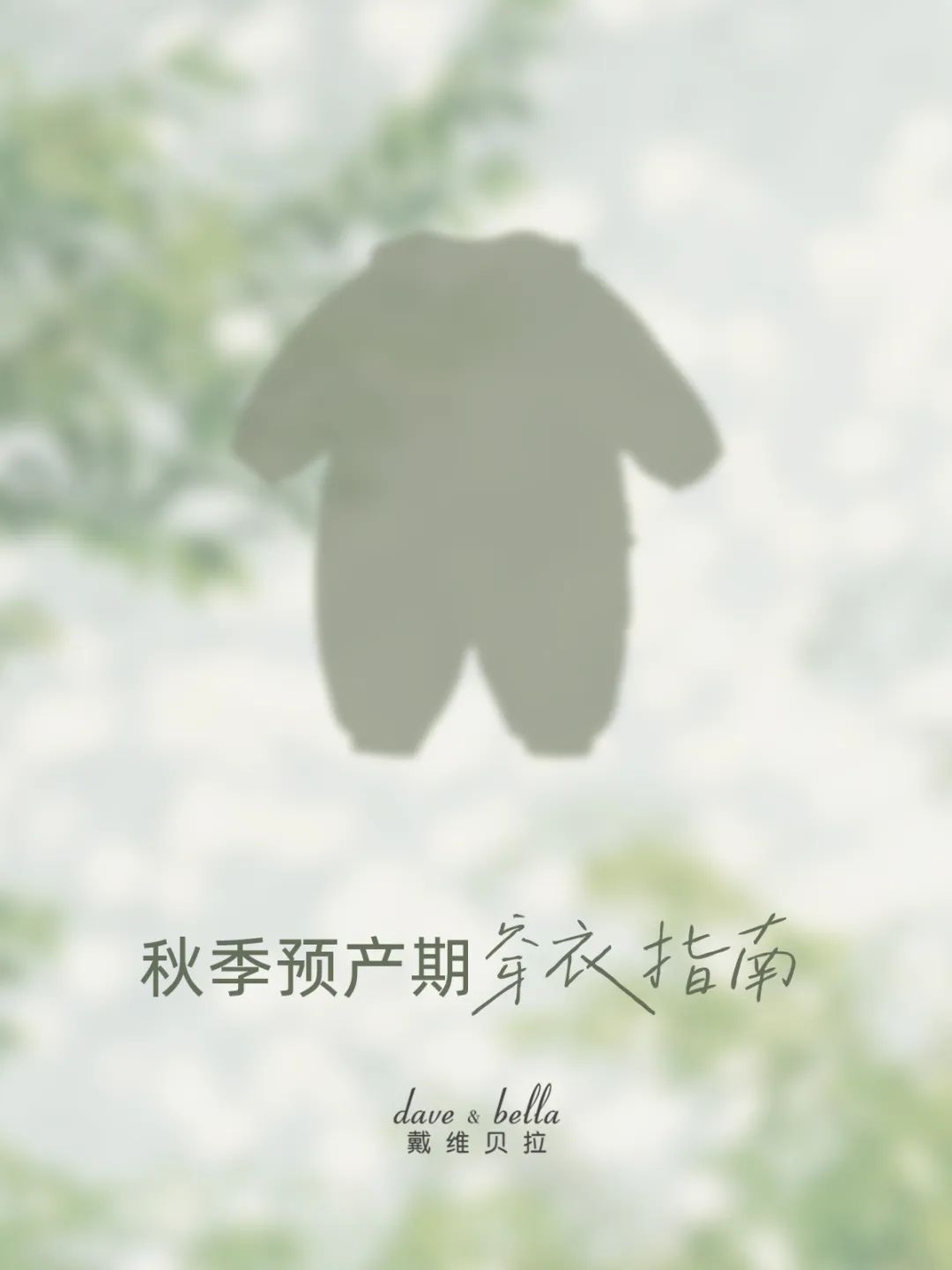 戴维贝拉@8、9月预产期的新手爸妈