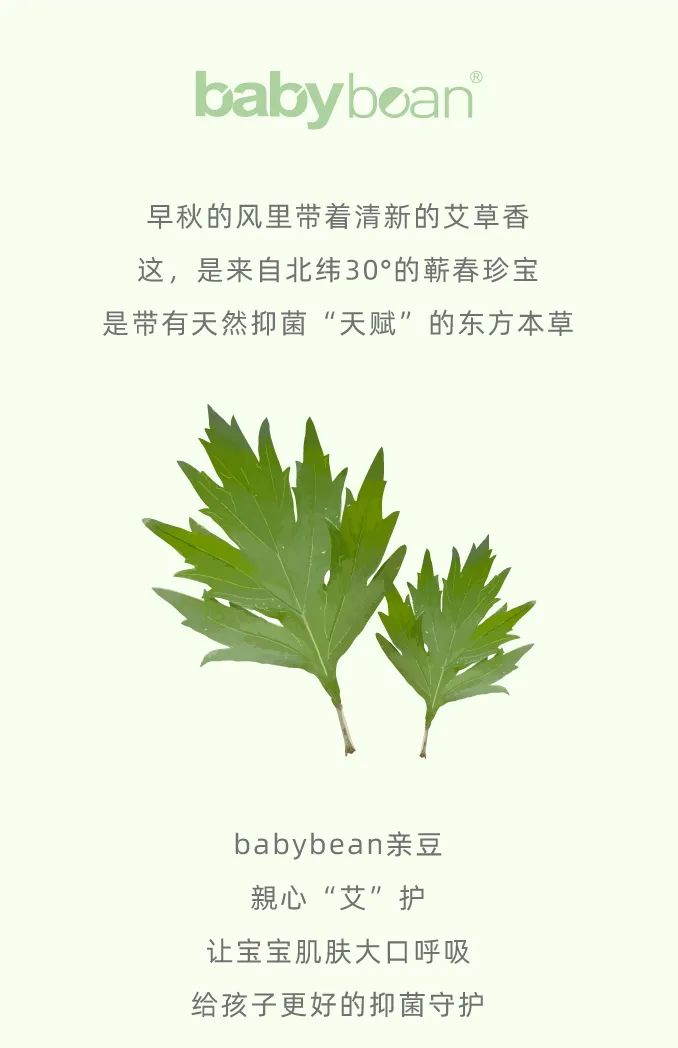 亲豆：悠悠「艾」香·舒心守护