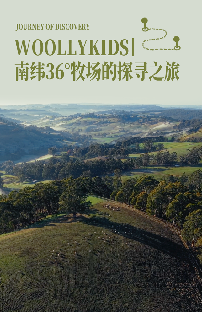 南纬36°牧场，WOOLLYKIDS的溯源故事