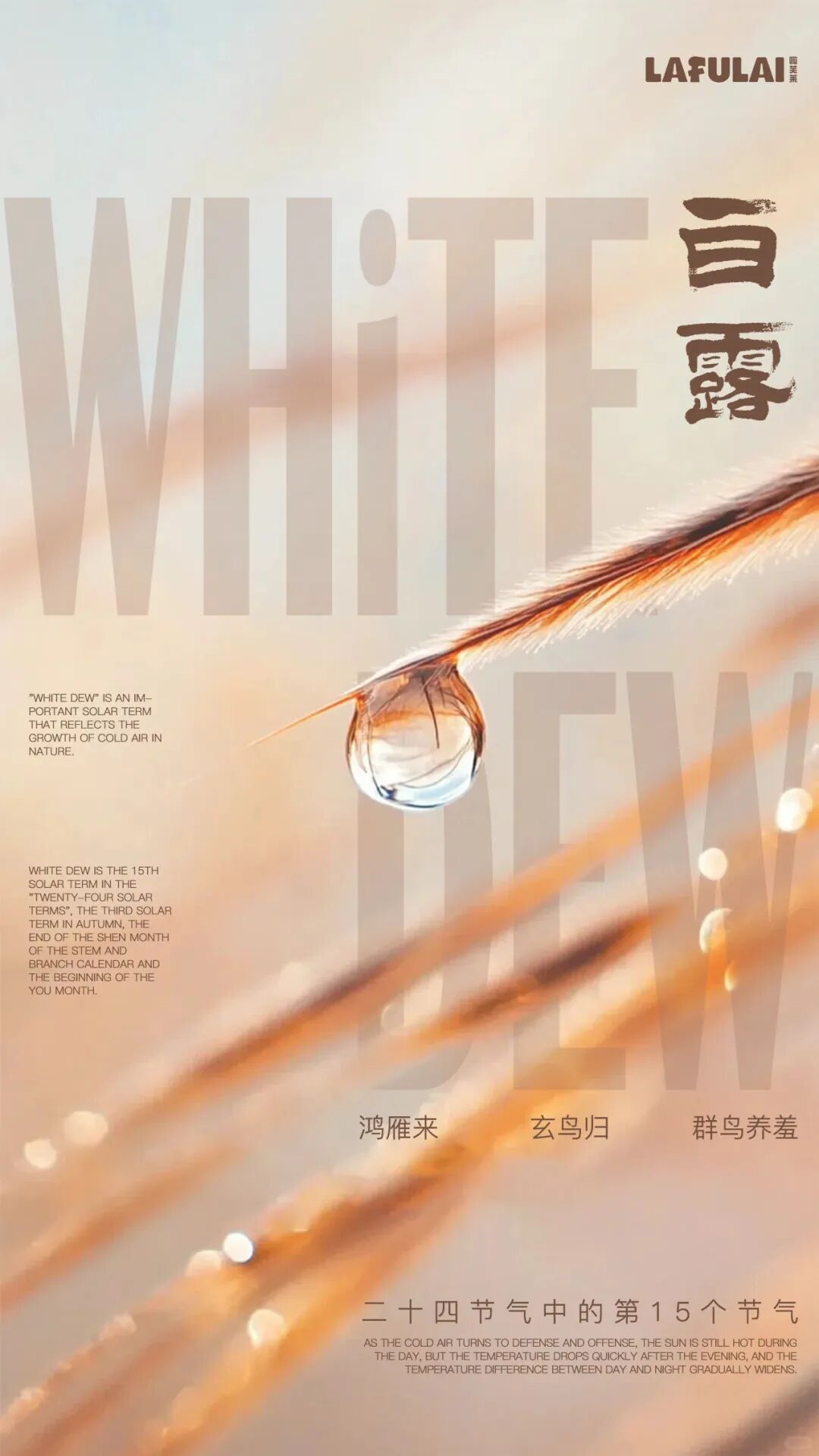 啦芙莱LAFULAI25秋上新VOL.3 [白露]