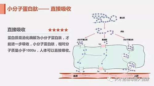 小分子肽营养包，为儿童营养助力！