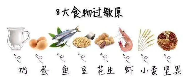 宝宝对食物过敏，是因为缺少益生菌