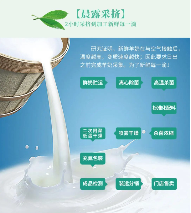 ​黄金搭档 | 乳酸菌奶粉对身体的好处，原来如此之多？ 