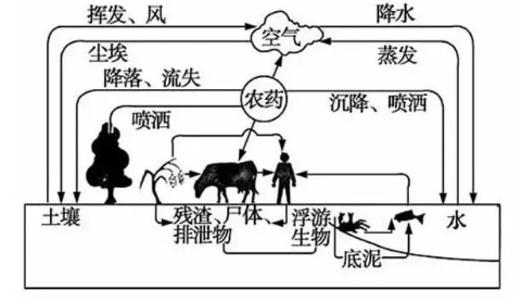 親豆童装新品上市，专享福利来袭