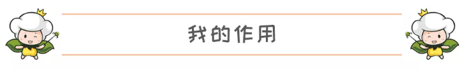 小桔豆童装今日邀您读懂生活中不可缺少的 —— 