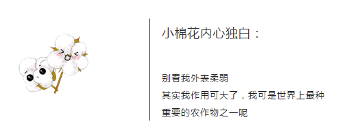 小桔豆童装今日邀您读懂生活中不可缺少的 —— 