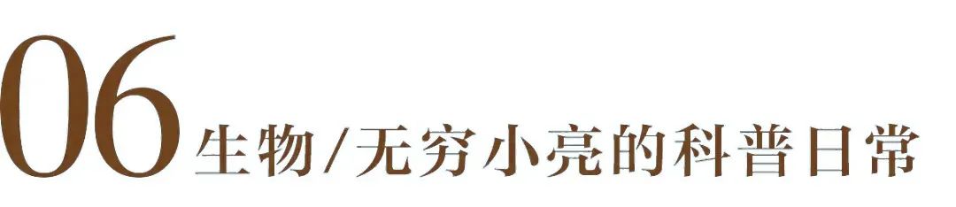 哈芙琳：暑假“留白”时刻，这13个跨学科UP主值得收藏！