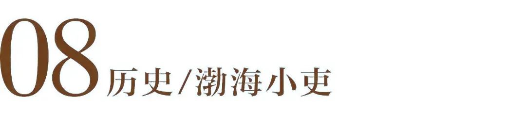 哈芙琳：暑假“留白”时刻，这13个跨学科UP主值得收藏！