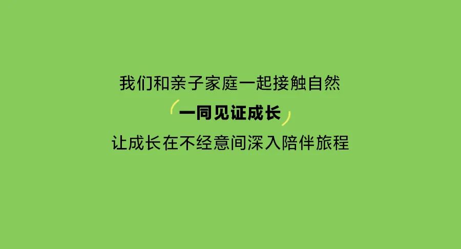 迷你巴拉：把自然印在衣服上 ！