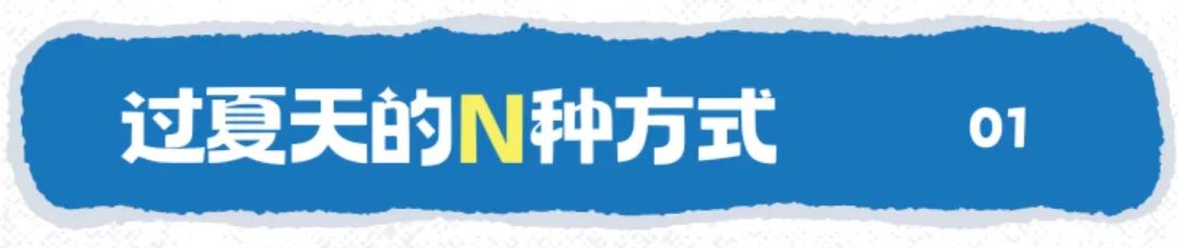 尼多熊：解锁过夏天的N种方式