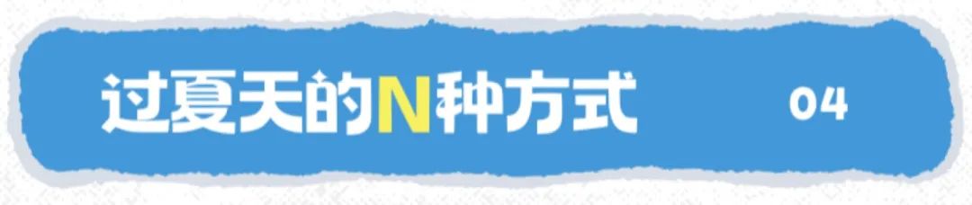 尼多熊：解锁过夏天的N种方式