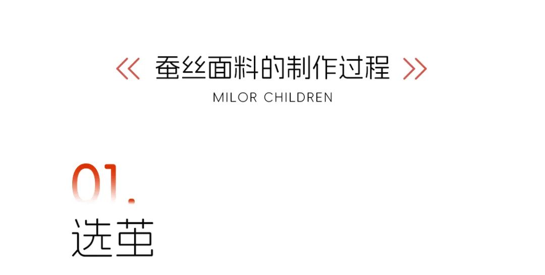 米乐熊Milor蚕丝  丝养新生 倍润轻盈